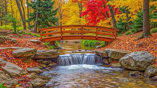 "A Hint of Autumn Across Vermont" Beautiful Relaxing Music, Peaceful Instrumental Music