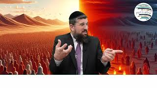 סוד פדיון הבן | פרשת בא תשפ"ו | הרב אליהו עמר, כנסו: https://www.ofakimbooks.co.il/ (הרב אליהו עמר) - התמונה מוצגת ישירות מתוך אתר האינטרנט יוטיוב. זכויות היוצרים בתמונה שייכות ליוצרה. קישור קרדיט למקור התוכן נמצא בתוך דף הסרטון סוד פדיון הבן | פרשת בא תשפ"ו | הרב אליהו עמר, כנסו: https://www.ofakimbooks.co.il/ (הרב אליהו עמר) - התמונה מוצגת ישירות מתוך אתר האינטרנט יוטיוב. זכויות היוצרים בתמונה שייכות ליוצרה. קישור קרדיט למקור התוכן נמצא בתוך דף הסרטון