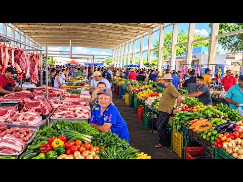 FEIRA DE RIACHO DAS ALMAS O MELHOR DA CARNE, FRUTAS E VERDURAS DE PERNAMBUCO VISITE E APROVEITE 
