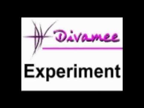 Divamee - Experiment - EndZeit (für Tiere) (2008) - Track 2