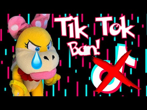 Wendy's Tik Tok Ban! - Super Mario Richie