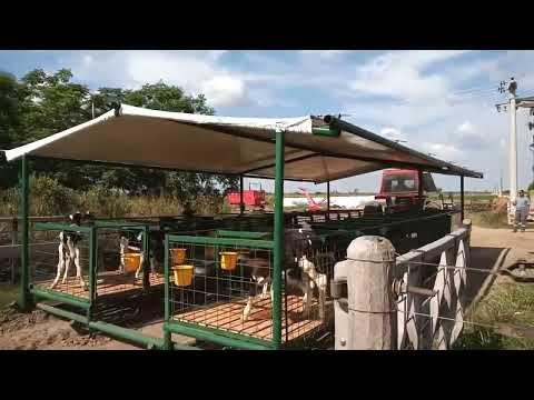 Guachera para 20 terneros.