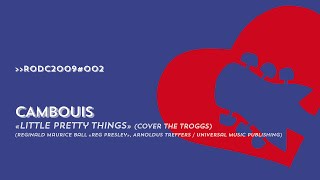 RODC2009#002 - CAMBOUIS - Little Pretty Things (cover The Troggs)