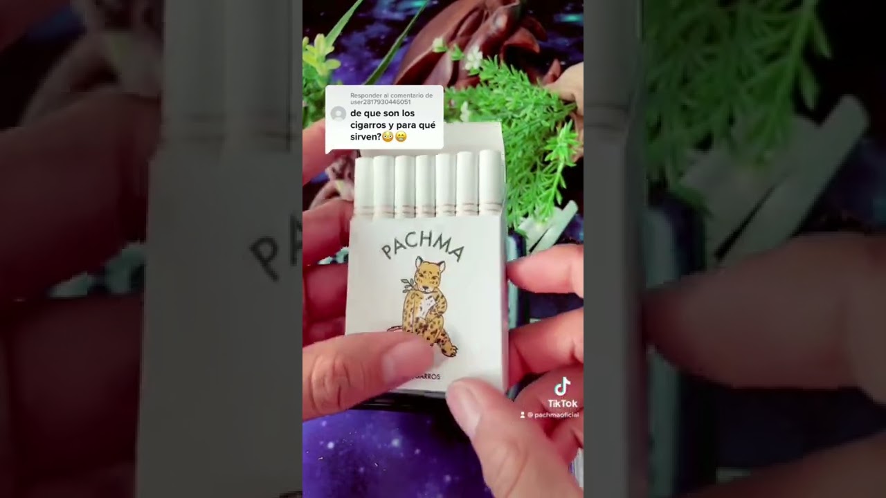 Para qué sirven los cigarros herbales!