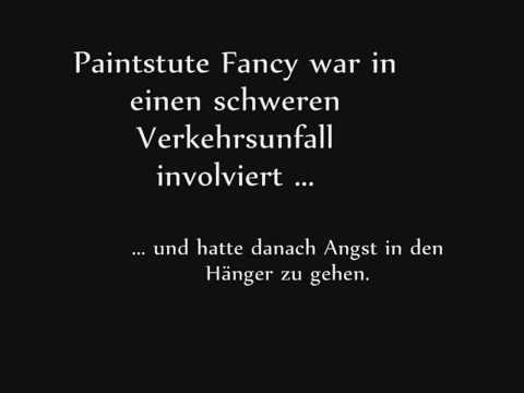 Verladetraining mit einem Pferd, das in einen schweren Unfall verwickelt war