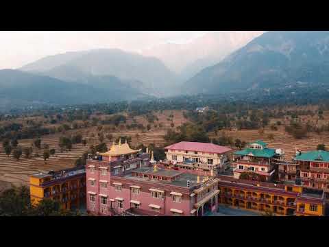 Dronies at Dharamshala, McLeodganj and Bir, Himachal Pradesh