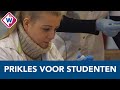 Studenten ROC Mondriaan helpen bij vaccineren: 'Heel spannend' - OMROEP WEST