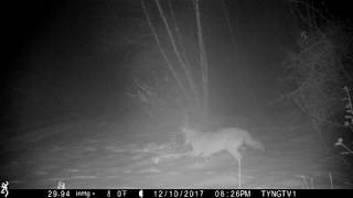 I know I left that bone somewhere around here...