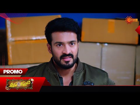 Anu Pallavi - Promo | 03 Feb 2026 | Kannada Serial | Udaya TV