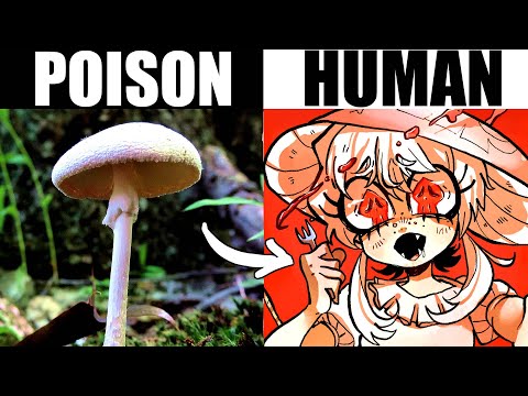 IF THE DEADLIEST POISONS WERE HUMAN