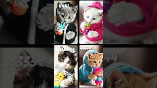 🐱 4 Cats in Hoodies Battle for Cuteness 😻 | Which One Wins Your Heart? 💖 #Shorts 🐈🔥 #cutekitty