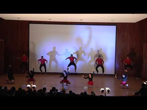 D SE DANCE | Stories of Ahana | Mahima Pirani and Nirmal Mulaikal