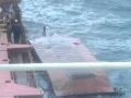 Русские моряки утопили бот 