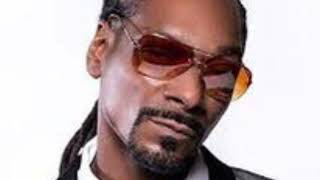 Snoop Dogg - Drop it like its hot (Acapella version) feat. Pharrell (Clean edit)