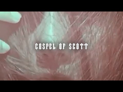 Miniatura de Gospel of scott