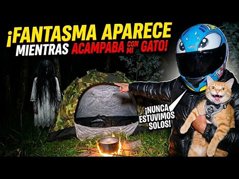 ​ALGO NOS ACECH&Oacute;: Acampando con mi gato en la nada (Parte 1)
