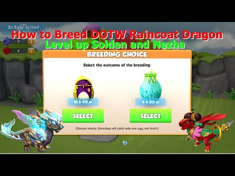 How to Breed Dragon of the week Raincoat-Dragon Mania Legends | Level up Solden and Nezha | DML
