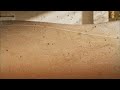 Qrevo S Pro Set Aspirapolvere Robot Lavapavimenti 18.500Pa, Autopulizia Panno 75°C, Asciugatura Aria Calda 45°C, Antigroviglio, Stazione Tutto in Uno, Modalità Tappeti, Nero - Foto miniatura 2
