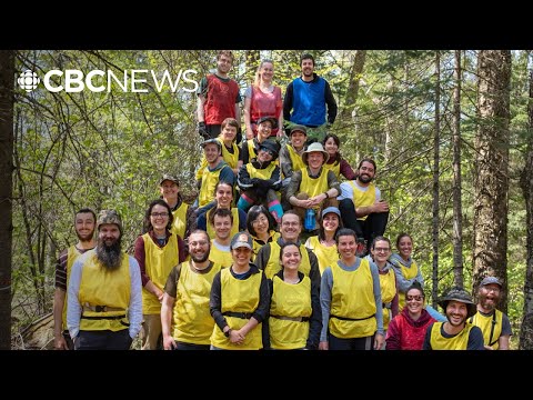 Studying how predators and prey behave in the wild — through a game of tag