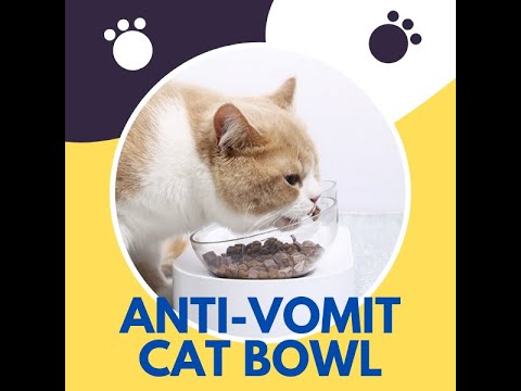 Best Design Anti-Vomiting Non-Slip Pet Bowl