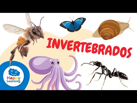 ANIMALES INVERTEBRADOS  para niños -  Artrópodos, moluscos, gusanos, celentéreos y equinodermos