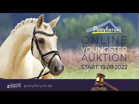 Das Goldstück Stute 2019 v. Dating AT NRW / D-Day AT