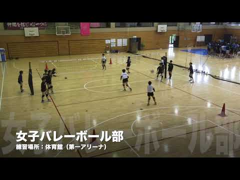 女子バレーボール