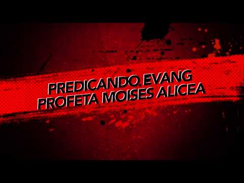 Evang Moises Alicea - Woodridge NY