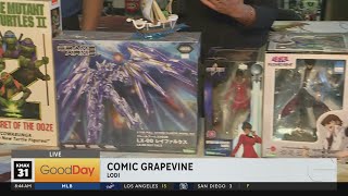 Find rare and one of a kind treasures at Comic Grapevine in Lodi!