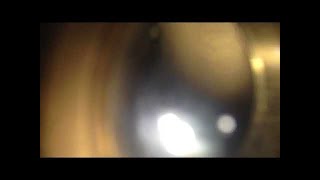 bowie sweet jane may 20th 1979