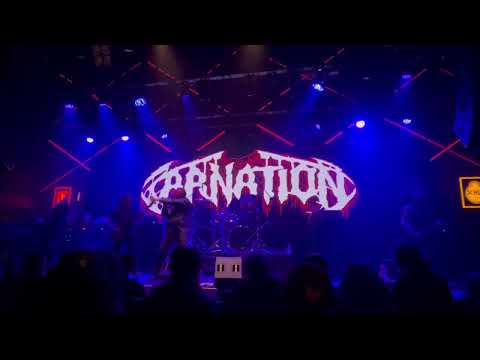 Carnation - Plaguebreeder (Live in İstanbul - 18.10.2025)