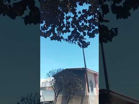 Por trás da igreja da Vila de Ponta Negra Natal RN.