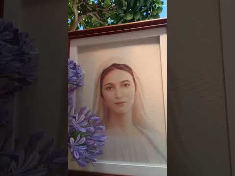 Evangelio del Nuestro Señor Jesucristo Con el Padre Fabian Esteban Oliva. Segunda Parte 08/12/25