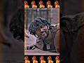 August 16 1947 Hindi Trailer Gautham Karthik 1947 August1947 Gauthamkarthik Ytshorts