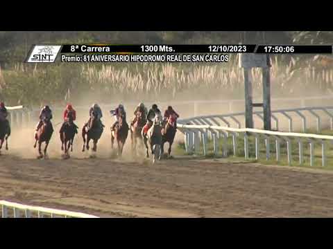 SINT COLONIA 231012 c08 - 1° KANEMAN (BRZ)