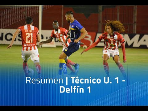 Resumen: Técnico Universitario 1 - Delfín 1