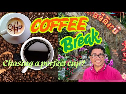 Chasing the Perfect Cup: A Coffee Break Vlog