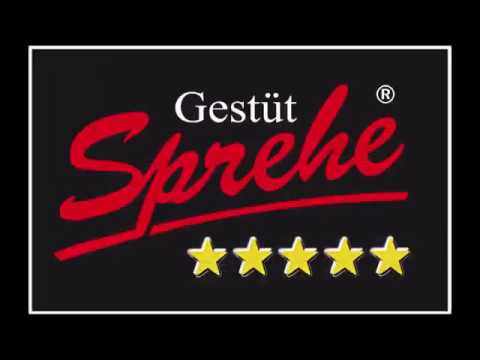 Cornet de Semilly (DVD 2019)