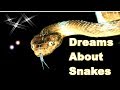 Dreams about snakes | dream meaning & dream interpretation