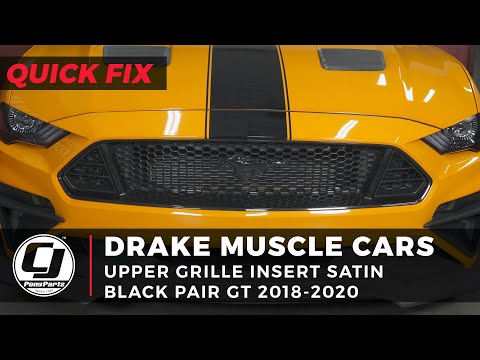 2018-20223 GT Mustang | Drake Muscle Cars Satin Black Upper Grille Inserts