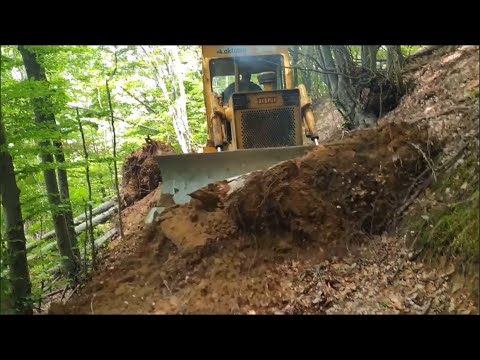 Bulldozer TG 120 works in the forest