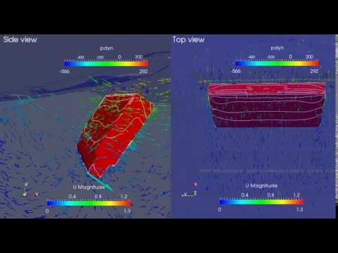 CFD of Flap type WEC in Extreme Sea