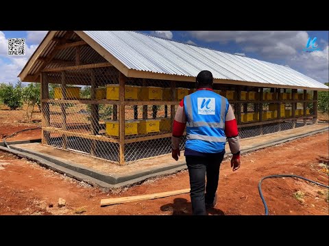 Unbelievable transformation of the  Kenya's 50th Apiary Revolution
