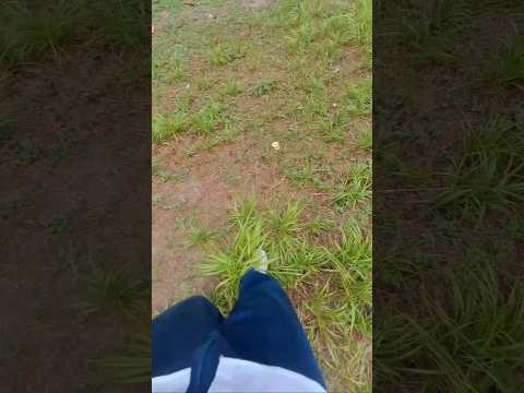 Izhaar ho na jiya #nature #travel #love  #instagram#reelremix#bollywoodtunes #viralsong #popularsong