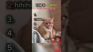 Top 5 des moments drôles avec les chats