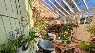 My Victorian Conservatory Is LEAKING… Spring Tidy Up Chaos! 🌧️🌿