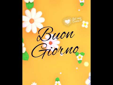 GIF Buongiorno. Video musicale con fiori