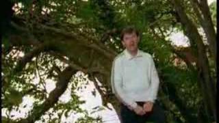 What a Wonderful World Music Video