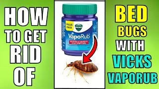 How To Get Rid Bedbugs With Vicks Vaporub