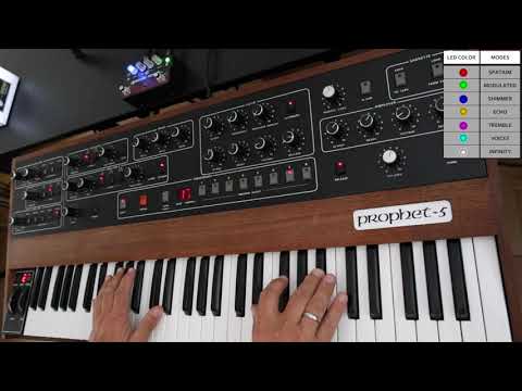 Is this the best reverb pedal? GFI specular reverb v3 with Sequential Circuits Prophet 5
